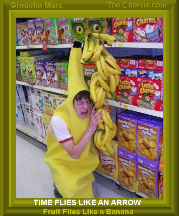 Time flies like an arrow.&nbsp;Fruit flies like a banana.&nbsp;Groucho Marx
