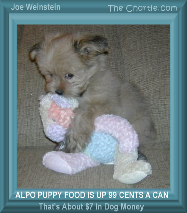Alpo puppy food is up 99 cents a can.&nbsp;That's about $7 in dog money.