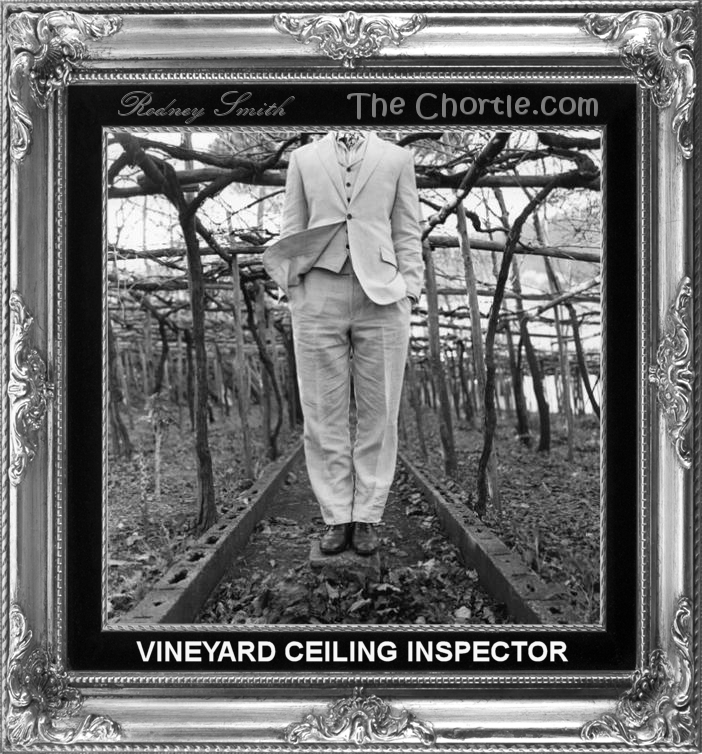 Vineyard ceiling inspector