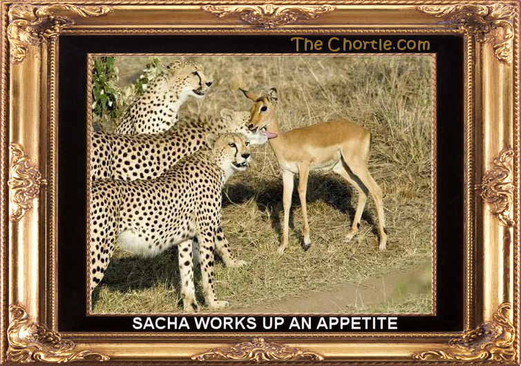 Sacha works up an appetite.