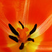 A photo on Flickr