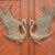 Seemore_Gray1